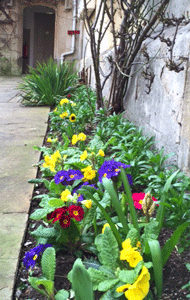 PembrokeOxford's tweet photo. Spring beds in! #OldQuad http://t.co/9TMVRMVfZI