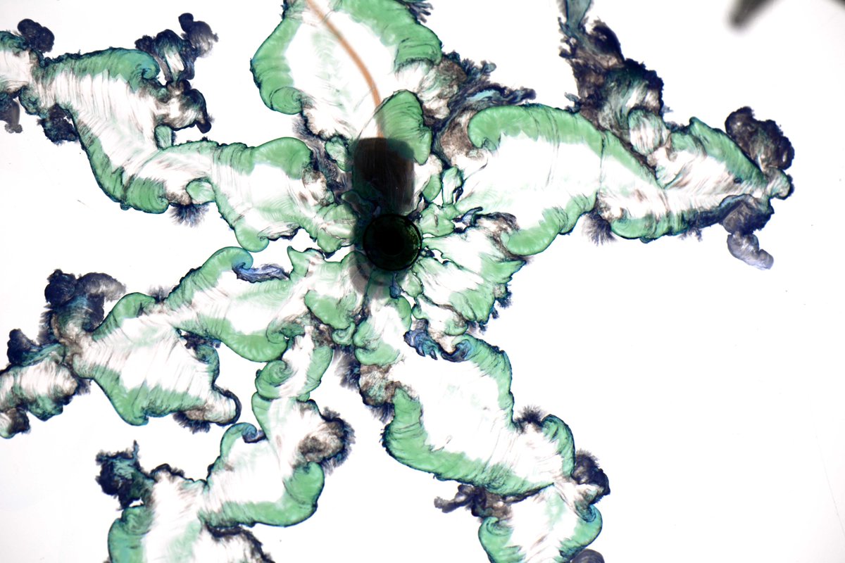 Recent research provides new data on chemical gardens,whose formation is a mystery for science sl.ugr.es/07Bo