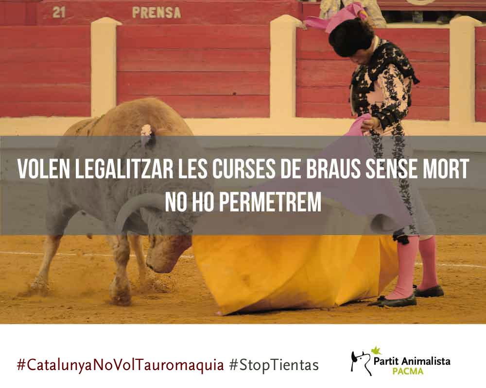 pacmacatalunya's tweet photo. RT i firma a http://t.co/mrynFEcxkm si tu tb dius #StopTientas #CatalunyaNoVolTauromaquia #StopMaltractamentAnimal http://t.co/fqixkyPM9K