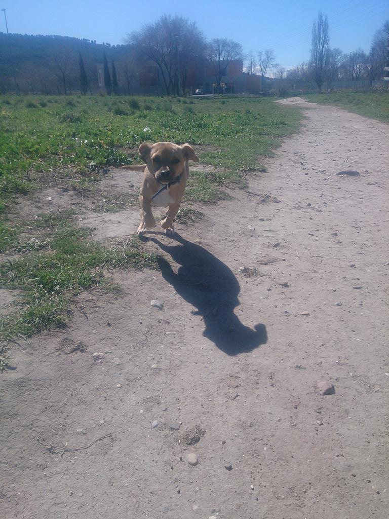 JuananBrutal's tweet photo. Vamos de paseeeeeooo(8) http://t.co/v8Mpt26zpI