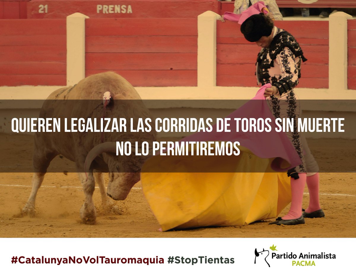 pacmacatalunya's tweet photo. @partidopacma Quieren legalizar las tientas taurinas.RT y firma en http://t.co/mrynFEcxkm #StopTientas #StopMaltrato http://t.co/jEWVcbo3sl