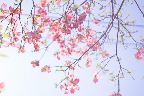 가장 아름다운 말로 상대방에게 희망을주고,
가장 멋진 말로 사랑을 고백하고,
가장 빛나는 말로 상대방을 칭찬하고,
가장 믿음직한 말로 용기를 주고,
가장 숭고한 말로 상대방을 신뢰하라.

-김옥림