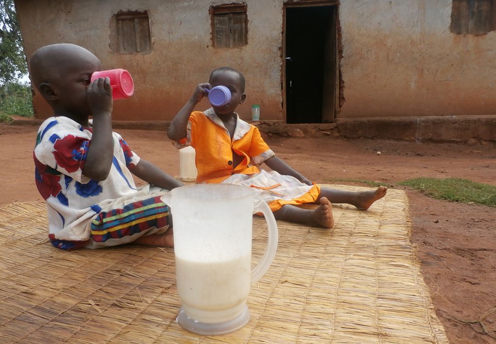 food4thehungry's tweet image. NEW BLOG: What a difference a cow makes! &amp;gt;&amp;gt;&amp;gt; ow.ly/JSX8e #FHblog #Burundi #ShareACow
