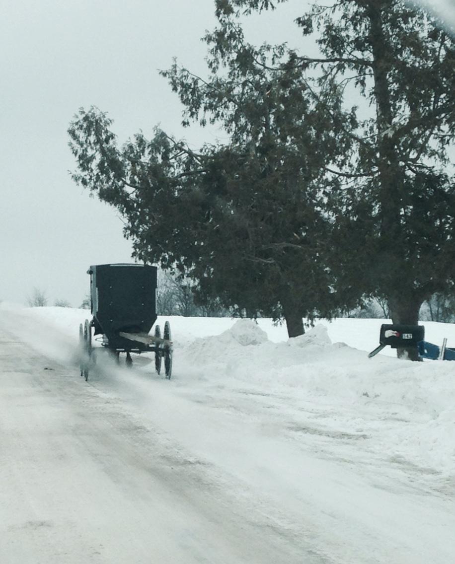 NYFarmer's tweet photo. Icy roads! Thin wheels on Amish buggy crunch ahead. Good morning from NY. http://t.co/4NCLc7tQ38