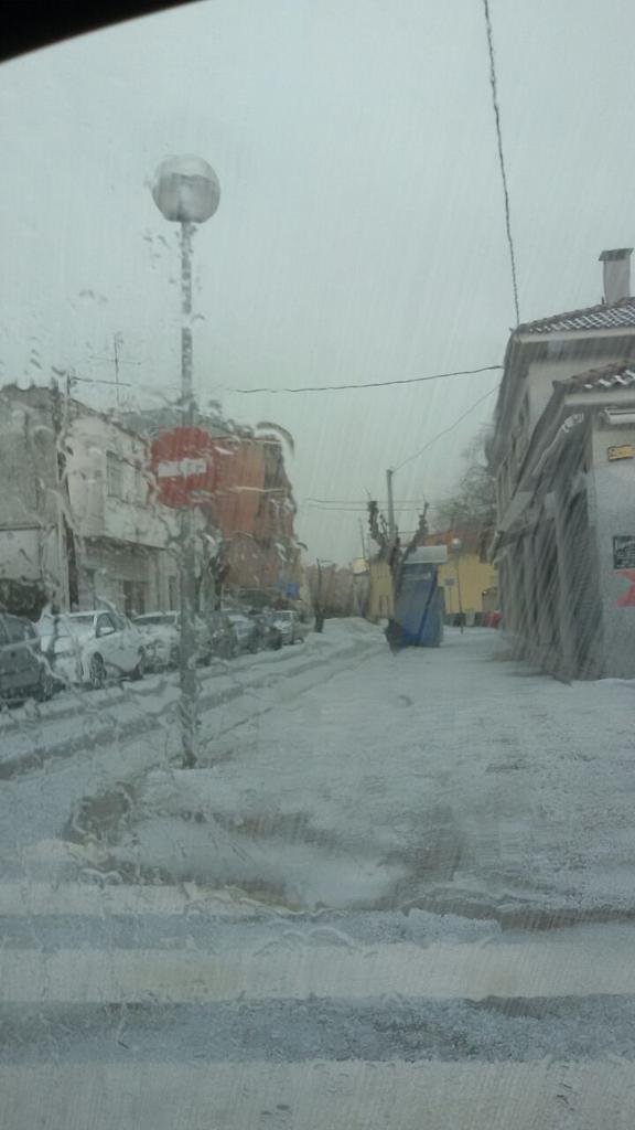 Paloma Valdivia-Vizarreta tweet media