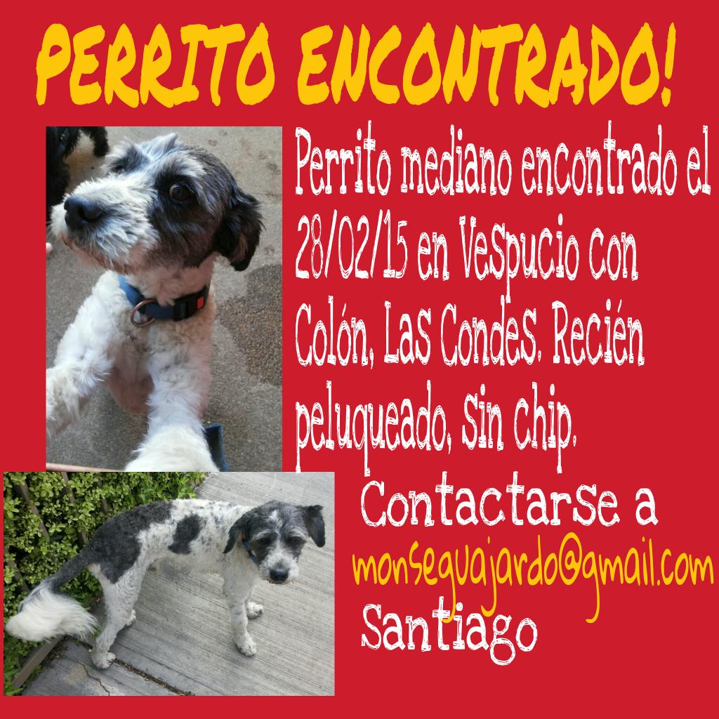 AyudaPeluditos's tweet photo. ENCONTRADO EN LAS CONDES! @TonkaTP @mvacarezza @vivirodriguesof @benjavicunamori @kattykowaleczko @lindorfovet http://t.co/0tCS3e9CJt