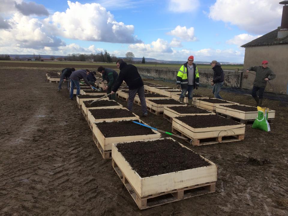 Jeunes Agriculteurs Cote d'or
Opération graines d'écolier
Rendez vous le 6 et 7 juin à Dijon