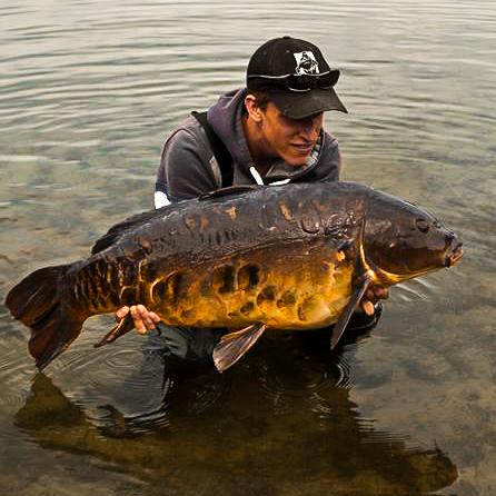 oncarpfishing's tweet photo. @Bram_spierings "The mirror is an old carp weighing 18.5kg. Caught on some evolution products, sweet fish boilies.". http://t.co/BcHsYKKDsl