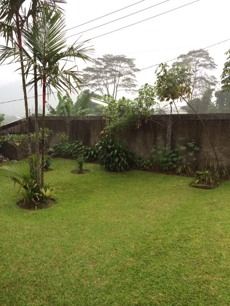 100_bas's tweet image. 