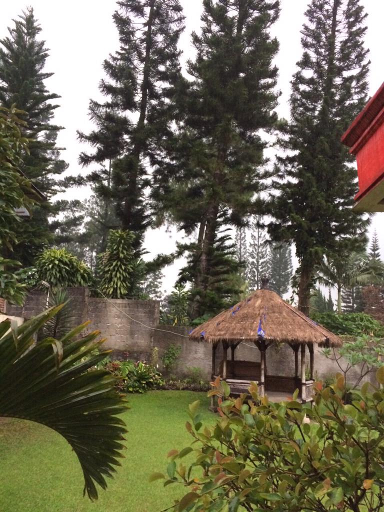 100_bas's tweet image. ي لبيه