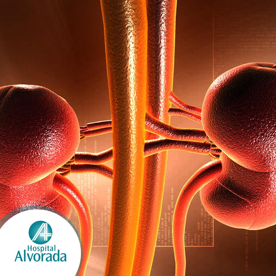 Hosp_Alvorada's tweet photo. As pedras nos rins surgem quando a urina apresenta uma quantidade maior de certas substâncias que se juntam. http://t.co/8pCfILppJx
