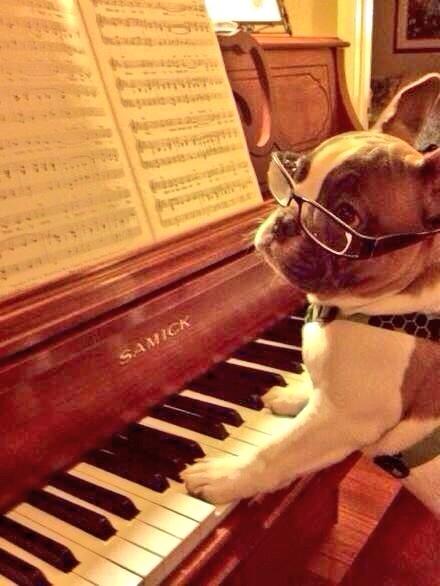 MichaelDAClarke's tweet image. "Every meal you make, every bite you take, I'll be watching you..."