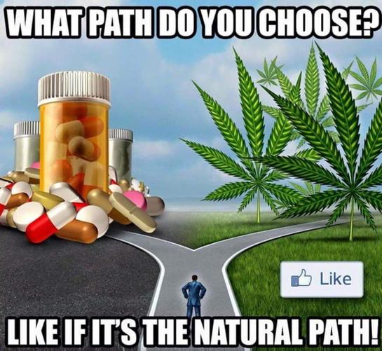 RE-legalization tweet media