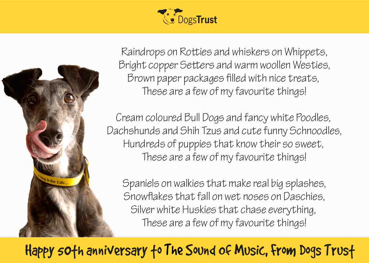 dogs favourite music