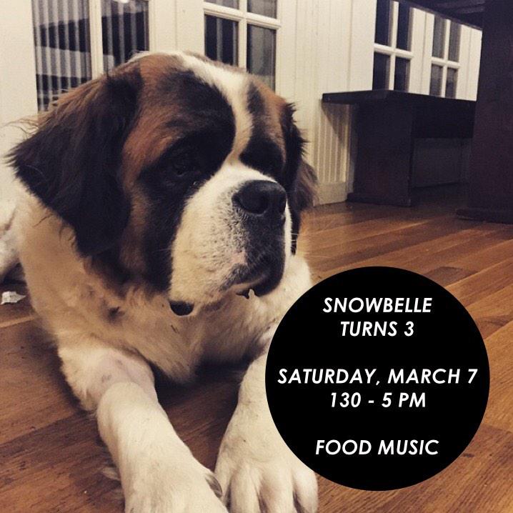 SnowbellePup's tweet photo. Don't forget! Come wish me a happy birthday on Saturday, March 7th! my big day! http://t.co/iWZmdYd2hu