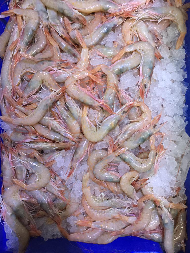 ChefInchausti's tweet image. Materia prima de nuestras costas