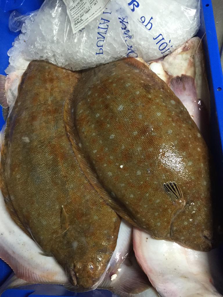 ChefInchausti's tweet image. Materia prima de nuestras costas