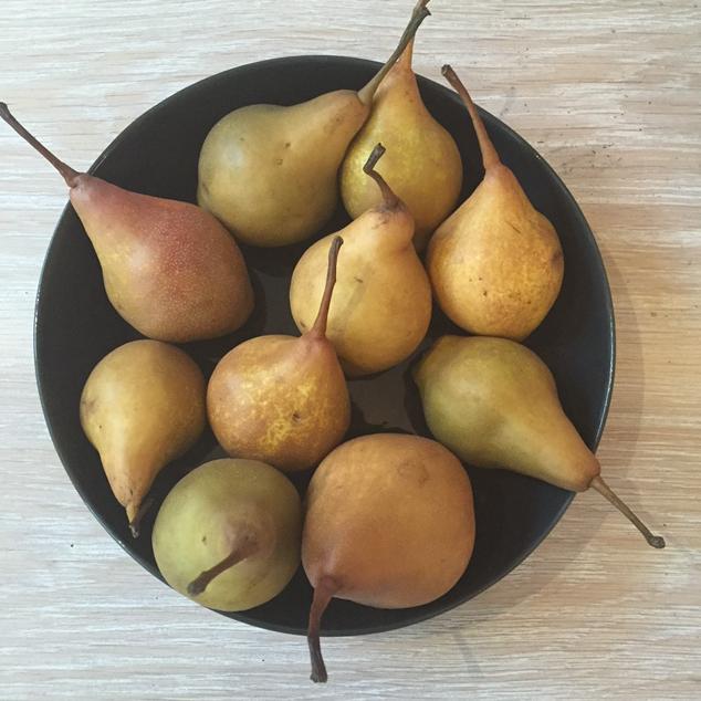 Embedded image permalink