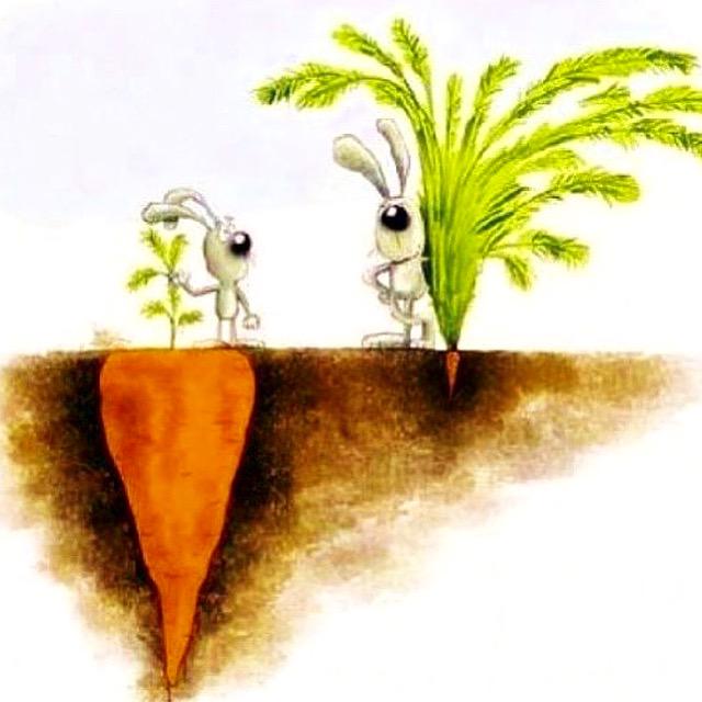 Hiç birşey göründüğü gibi değildir