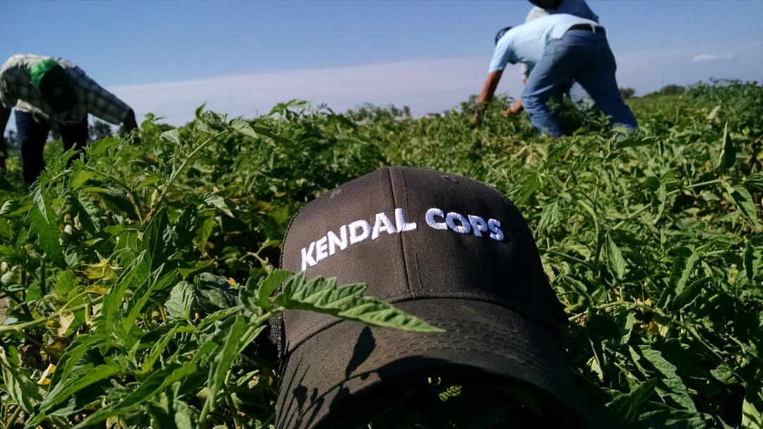 cesarintc's tweet photo. Vivorillos tomates rojos y VALAGRO http://t.co/74OhCC2L8S