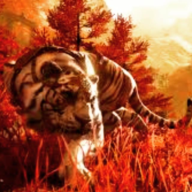 patrickwolf658's tweet image. 