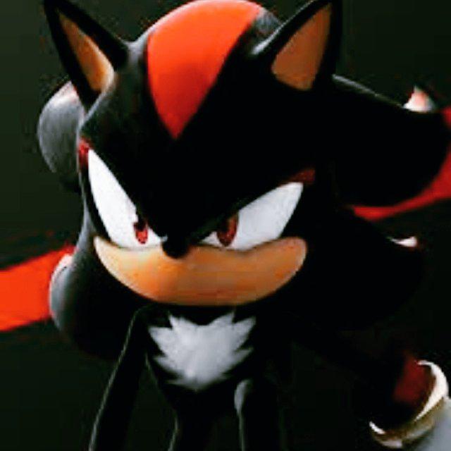 patrickwolf658's tweet image. 