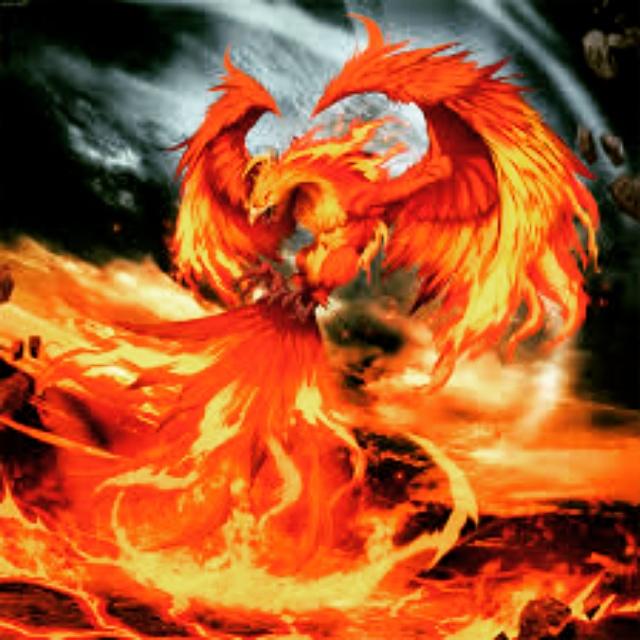 patrickwolf658's tweet image. 