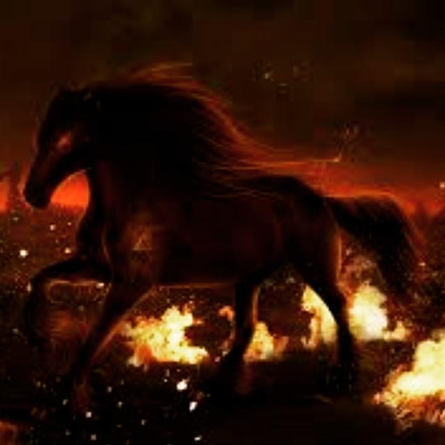 patrickwolf658's tweet image. 