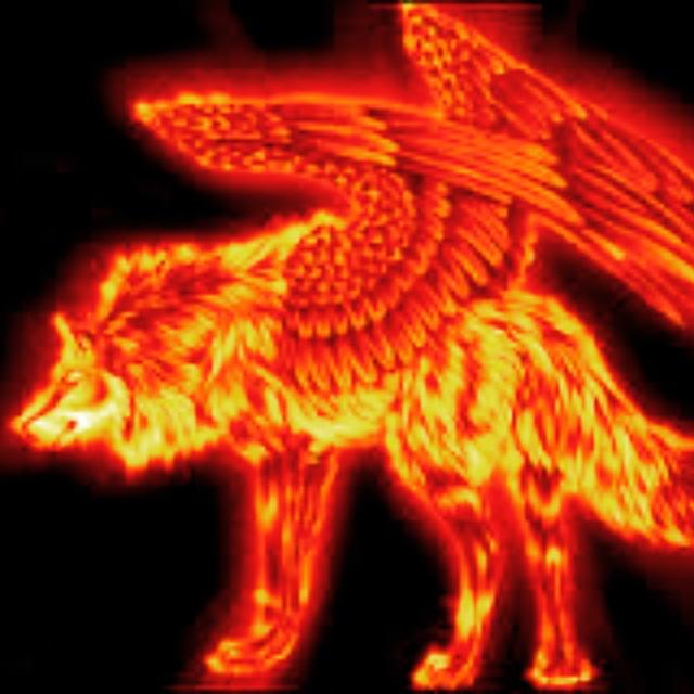 patrickwolf658's tweet image. 