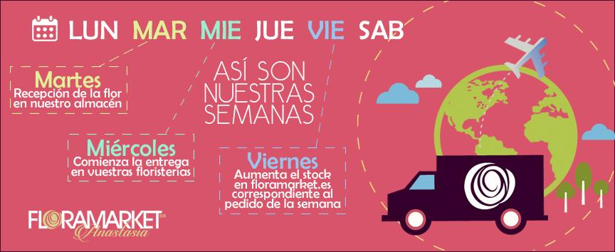 Flora Market (@flora_market) on Twitter photo 