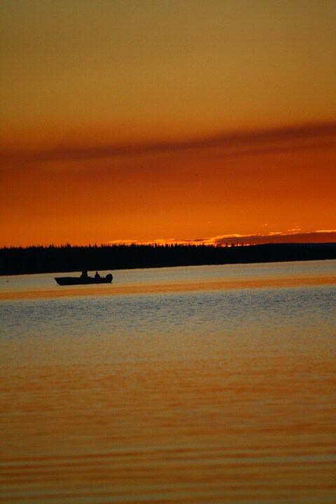 FrontierFishNWT tweet picture