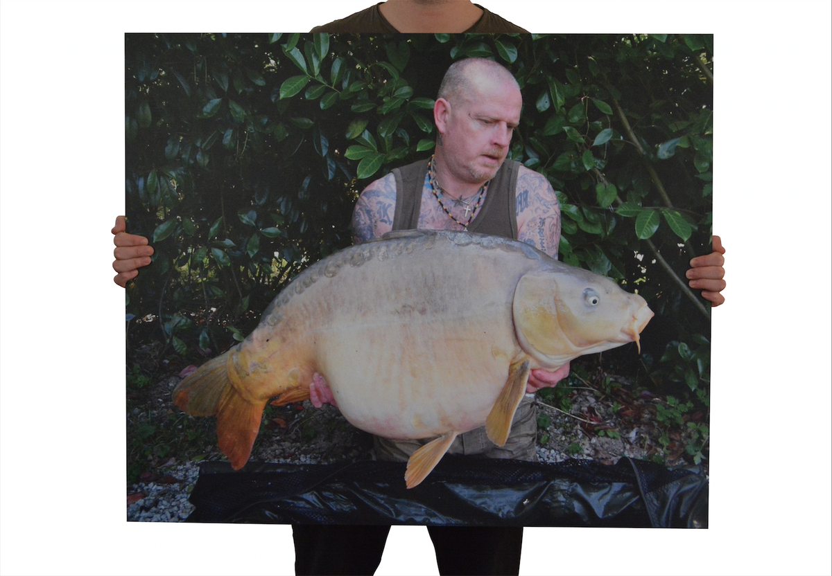 HotgrafixDesign's tweet image. We've just designed these exhibition pieces to showcase Carpinvasion at the #Carpinon 2015 carpinvasion.com