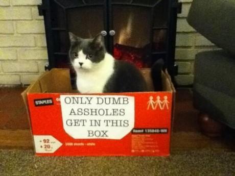 Notnamelite's tweet photo. #AwkwardLifeMoments When you suspect somebody is mocking you, but you're not sure. http://t.co/JLouTY3Mmc