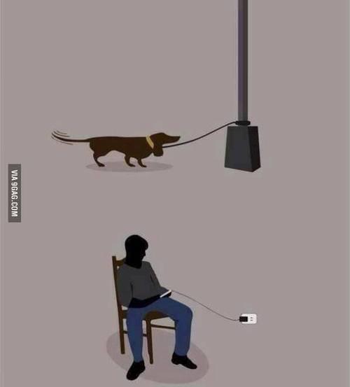 iWhat_The_fuck's tweet photo. Los animales quieren ser libres y el humano le encanta estar atado. http://t.co/qttZ6ql0iC