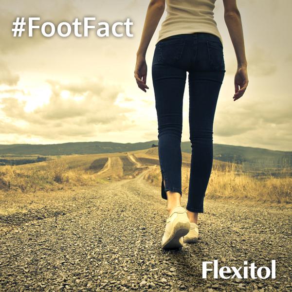 Flexitol UK tweet media