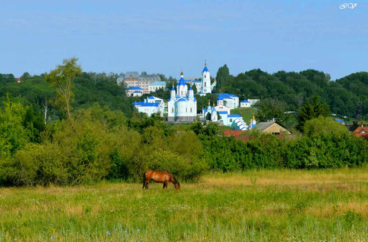фотографии курского края