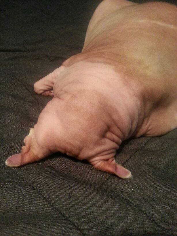Frustration808's tweet photo. current mood: http://t.co/rjGCD6gJnu