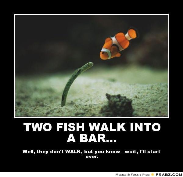 fish memes flshmemes twitter