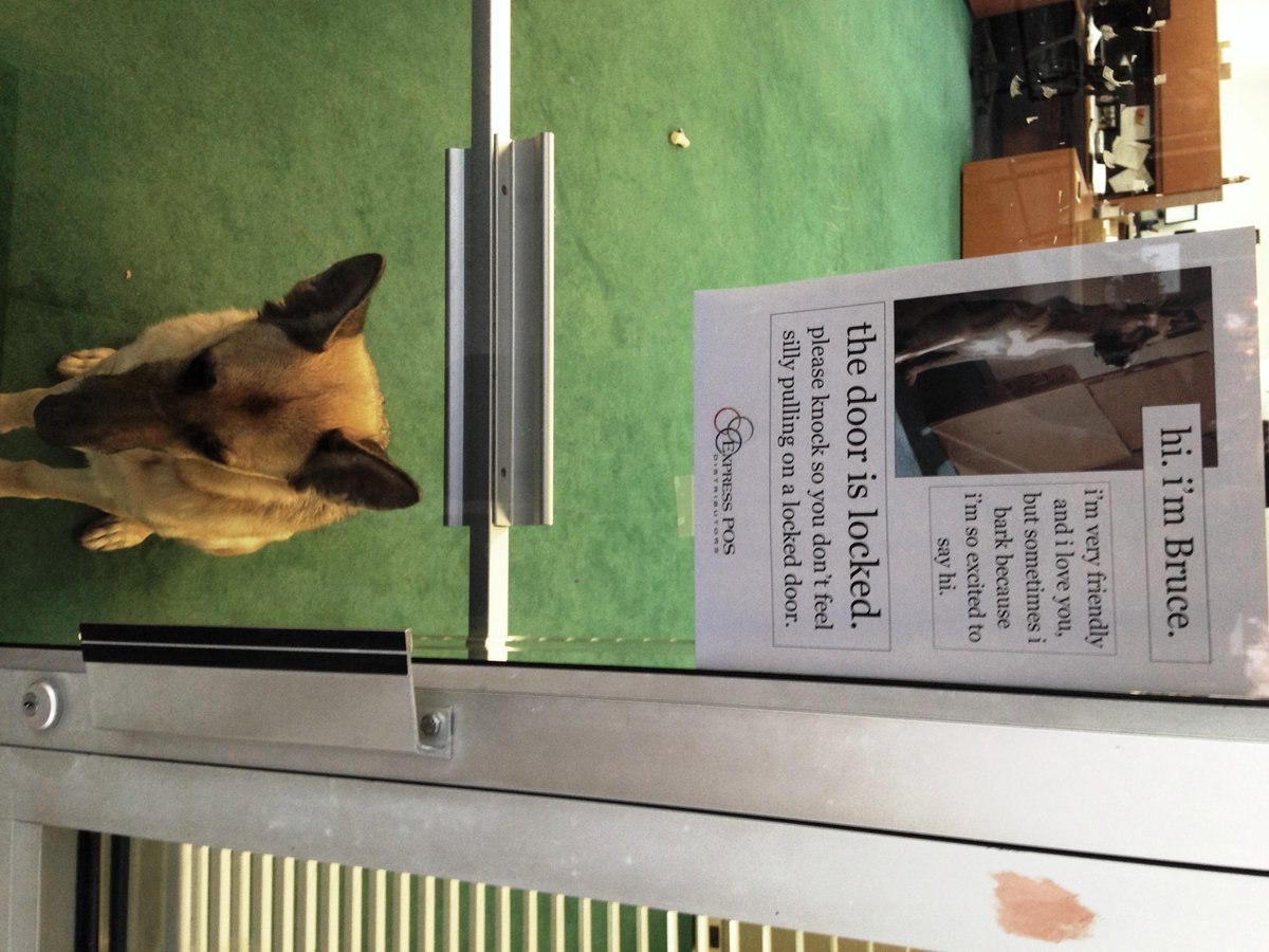 Bruce, our office mascot, loves you guys. He made a sign to prove it. #dogsoftwitter #officedog #payments