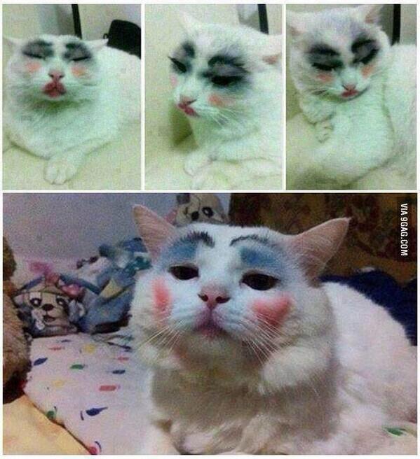 ساره ♡♥بنت القريات☆ (@a4d2dc6f8c33437) on Twitter photo 