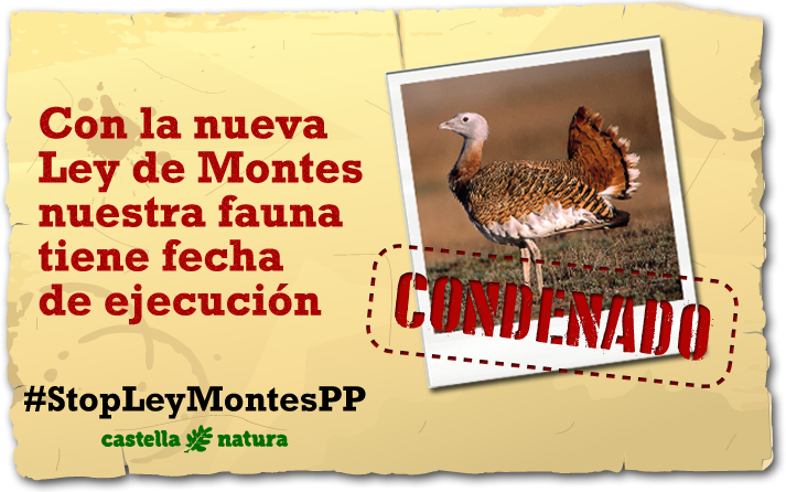 #StopLeyMontesPP