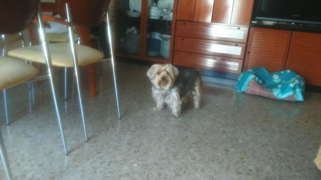 Bimba48's tweet photo. Mi niña, que siempre me alegra http://t.co/0WmoI4tJMH