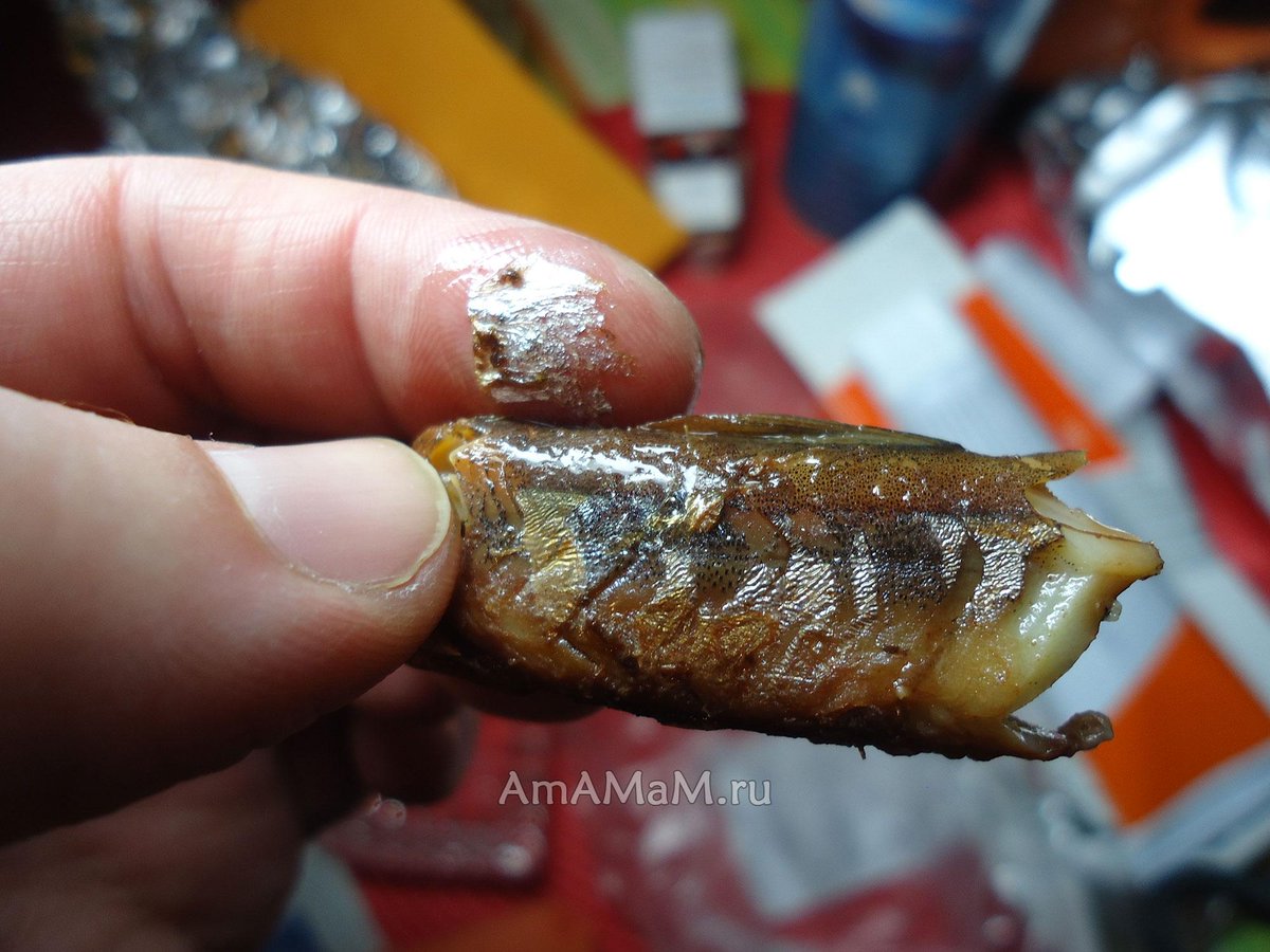 Икра шпротов. Икра шпротов. Икра шпрот. Икра шпротов. Бутерброды со шпротами и икрой лосося.