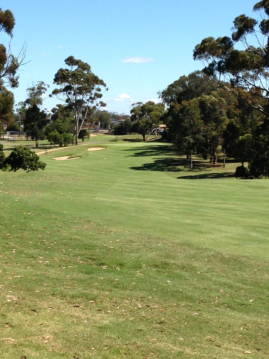 Geelong Golf Club Twitter