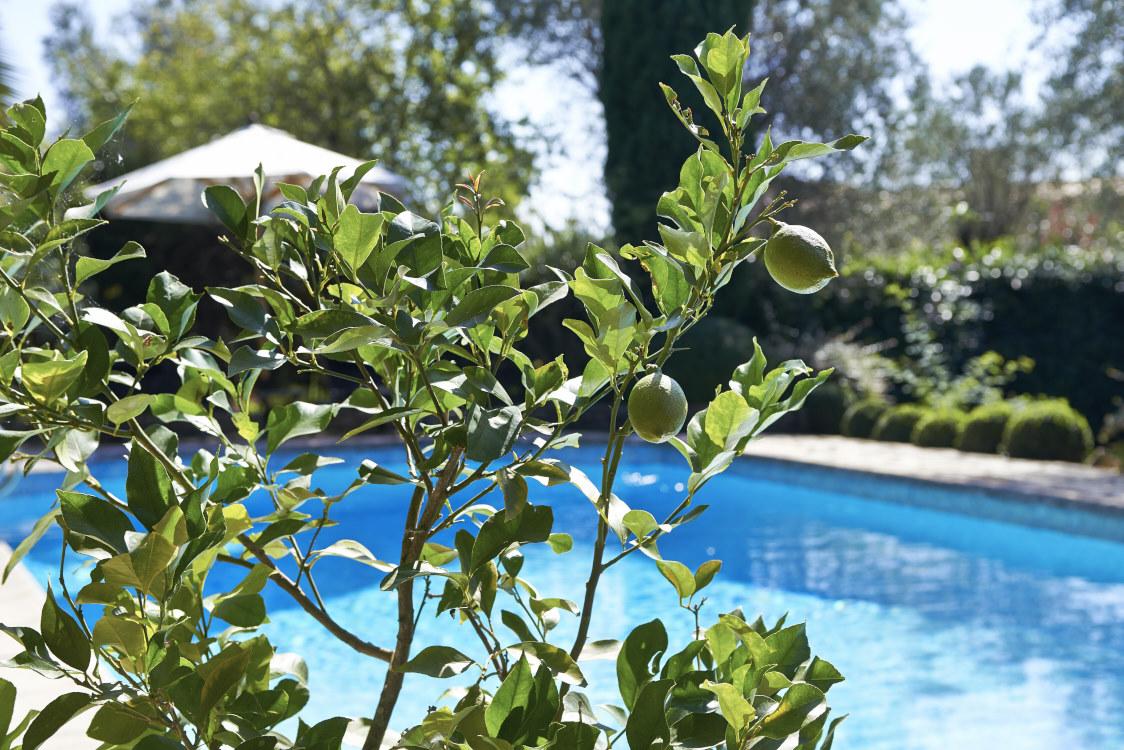 elegant_villa's tweet photo. 15% off http://t.co/mBoZLNVtdS #Cotedazur #Francevilla #Rusticvilla
Great Deal for April! Shout about it, Book it http://t.co/WHgQ3PsxDW