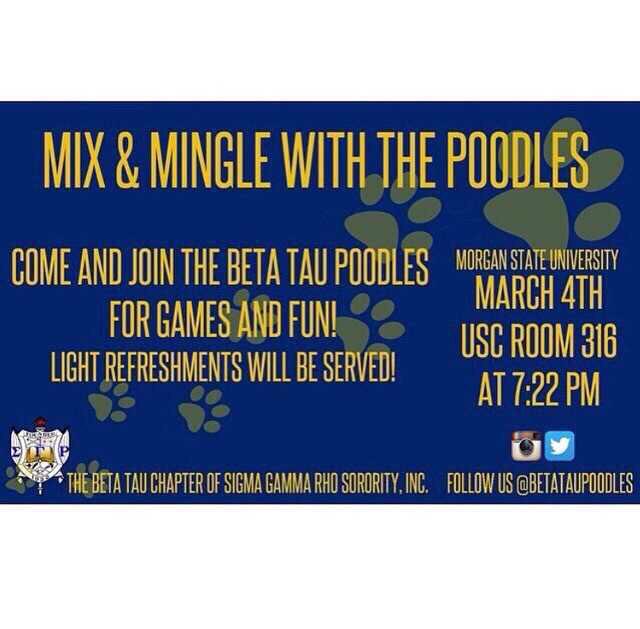 BetaTauPoodles's tweet photo. Going down tonight! Come hang with your favorite BT poodles! 💙💛🐩🐾 http://t.co/zTaWrP3ccN