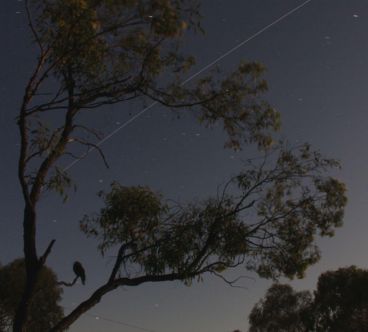 LanceLenehan's tweet image. Had some company while I watched the ISSFlyOver last night @issFlyOver #ISS
