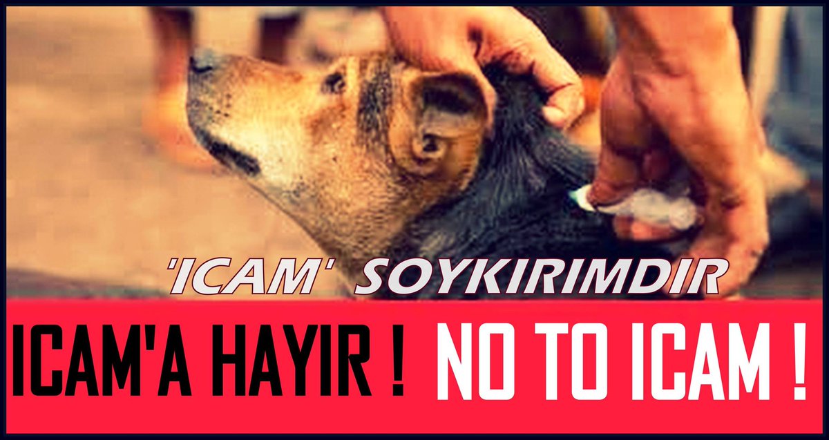 yeryuzuozgurluk's tweet photo. #NoToICAM  #ICAMaHayir  #KanliTasariyiGeriCek
#KisirkayaToplamaKampi 5 MART PERŞ16.30-18:00 ARASI CEVAHİR OTELE. http://t.co/qTlMuuSzt8