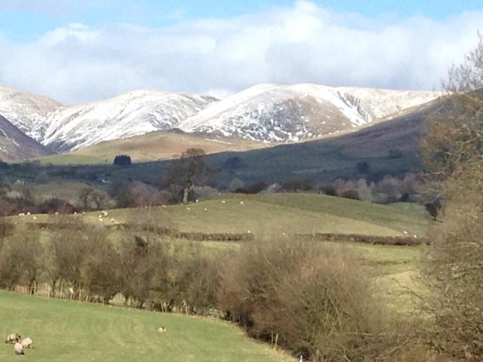 walkforanita's tweet photo. Snow on the Howgills, lambs in the fields. Can only mean one thing: no, not spring. Rain. Gentle 7 miles today. http://t.co/f95DVB7FYk