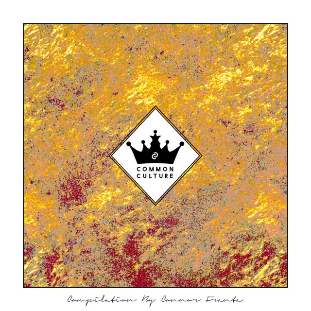 OpusLabel's tweet image. If you haven’t yet purchased @ConnorFranta’s Common Culture Compilation, what’s the wait? —&amp;gt; itunes.apple.com/us/album/commo…